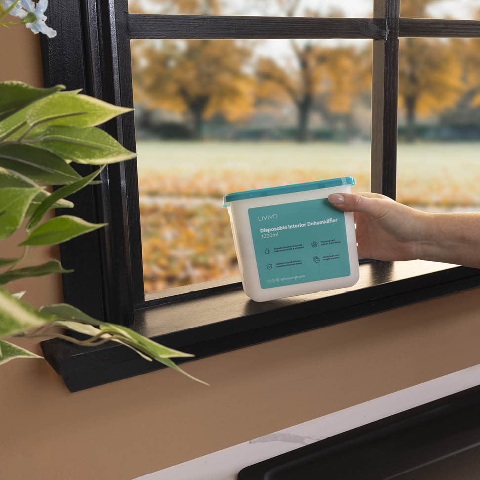 How Disposable Dehumidifiers Can Transform Your Home: Fresh, Dry, and Mould-Free