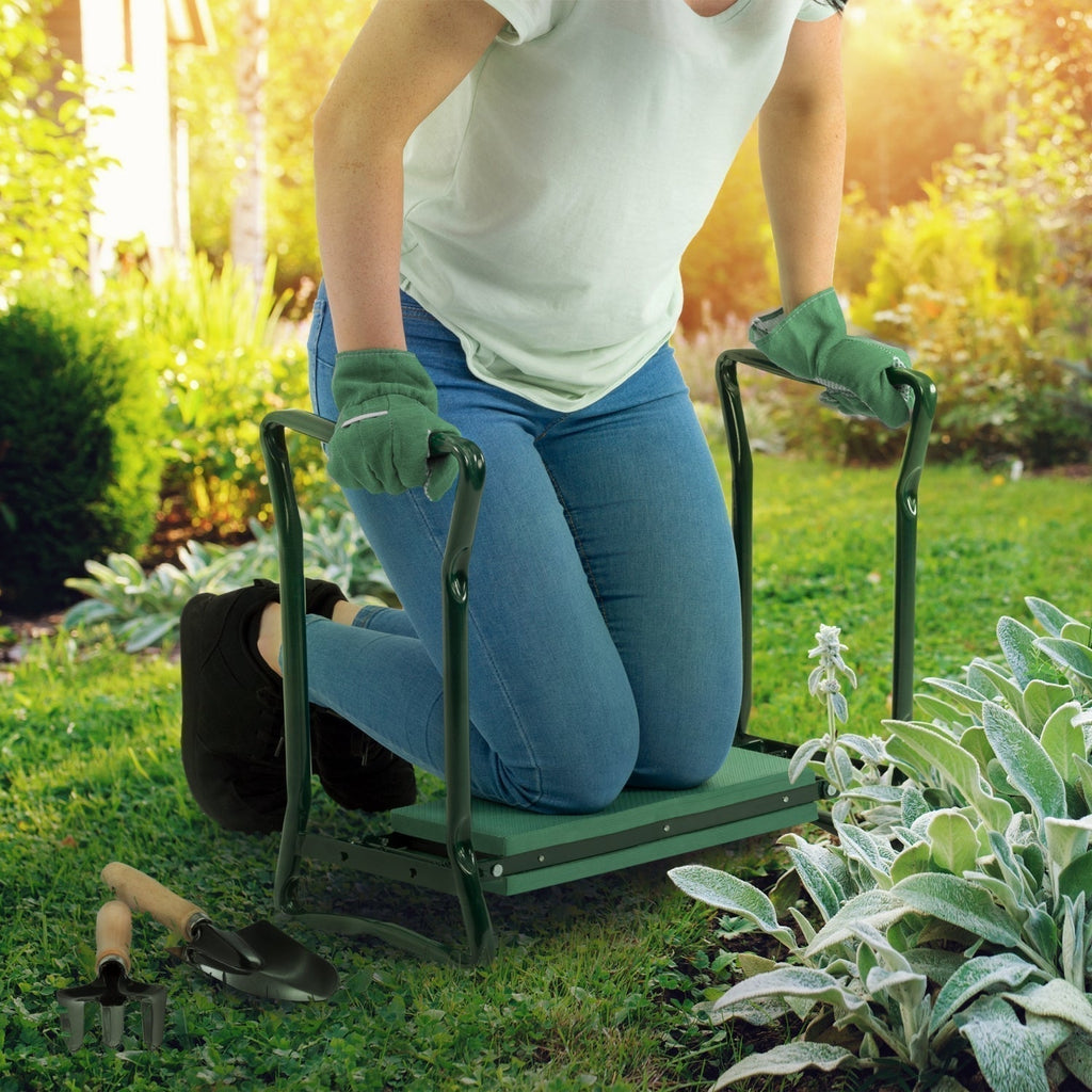 The great garden reset: A 4-week checklist for a bloomin' good time!