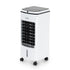Portable Air Cooler 4L - White