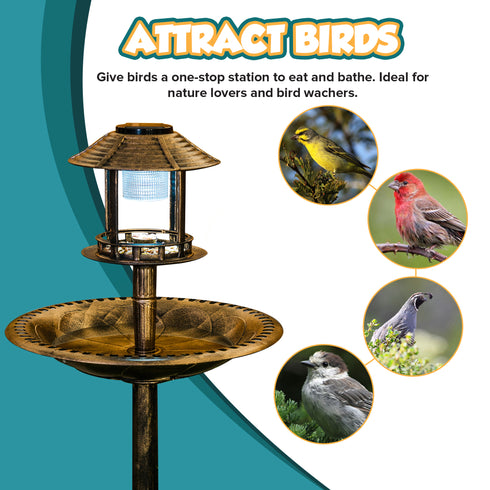 Bird Solar Light Bird Bath & Planter