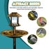 Bird Solar Light Bird Bath & Planter