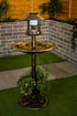 Bird Solar Light Bird Bath & Planter