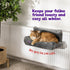 Snuggle Padded Cat Radiator Bed - Grey