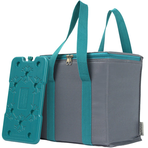 LIVIVO Insulated Cooler Bag with Free Freezer Block - 10L Capacity for Picnic Beach Travel