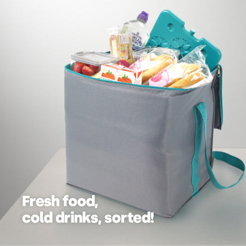 LIVIVO Insulated Cooler Bag with Free Freezer Block - 28L Capacity for Picnic Beach Travel