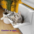 Cat Radiator Bed - White