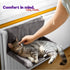 Cat Radiator Bed - Grey