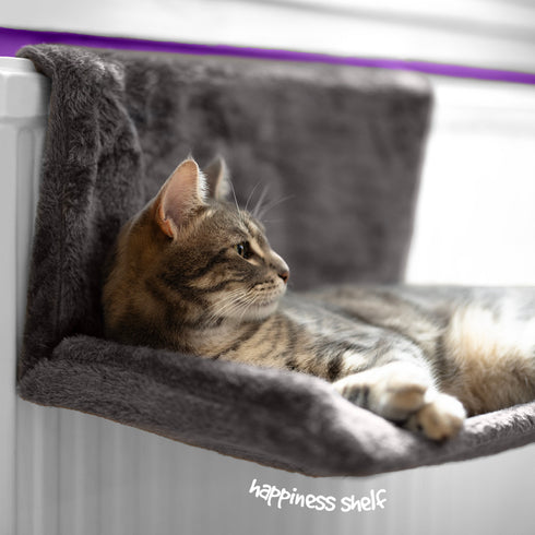 Cat Radiator Bed - Grey