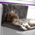 Cat Radiator Bed - Grey