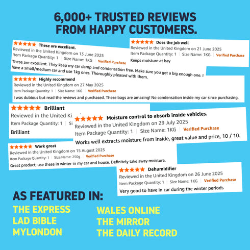Reusable Triangle Car Dehumidifier Bags, x2 400g, Blue