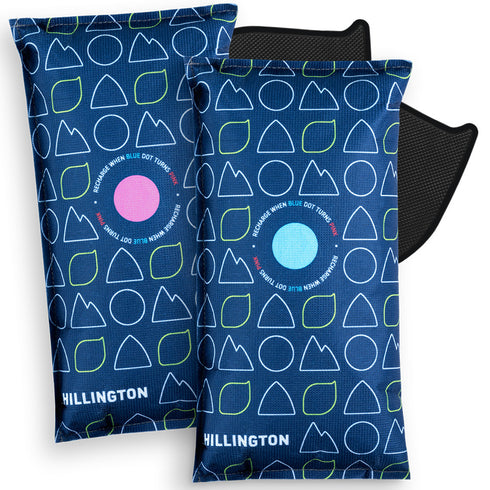 Hillington 2 Pack 1KG Car Dehumidifier with Dashboard Mat - Professional Moisture Control & Anti-Slip Mounting