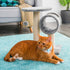 Cat Scratch Post with Bed and Tunnel