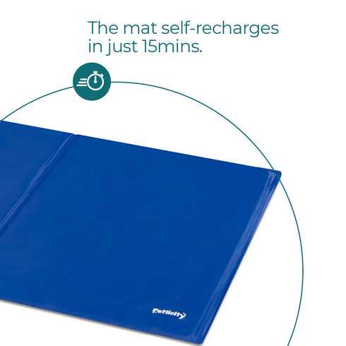 Pet Cooling Mat for Cats & Dogs - Small