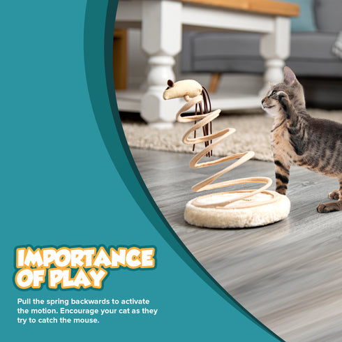 Cat Spiral Springing Toy