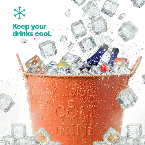 Galvanised Steel Drinks Bucket - Coral