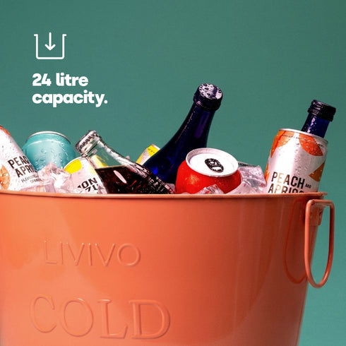 Galvanised Steel Drinks Bucket - Coral