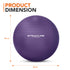 Anti-Burst Yoga and Exercise Gym Ball with Hand Pump - Purple