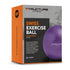 Anti-Burst Yoga and Exercise Gym Ball with Hand Pump - Purple