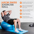 Anti-Burst Yoga and Exercise Gym Ball with Hand Pump - Blue