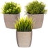 12cm Plant Pots Set of 3 - Sandstone Beige