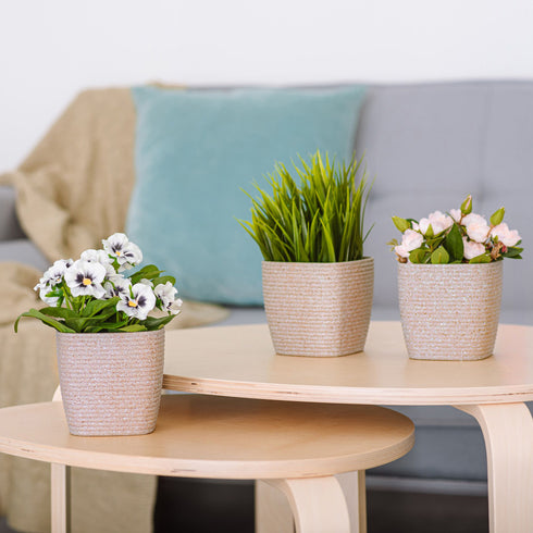 12cm Plant Pots Set of 3 - Sandstone Beige