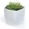 12cm Plastic Plant Pot White Sandstone