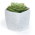 12cm Plastic Plant Pot White Sandstone
