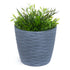 Plastic Plant Pot with Wave Design 18cm Grey