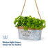 Zinc Hanging Plant Pot with Hessian Rope