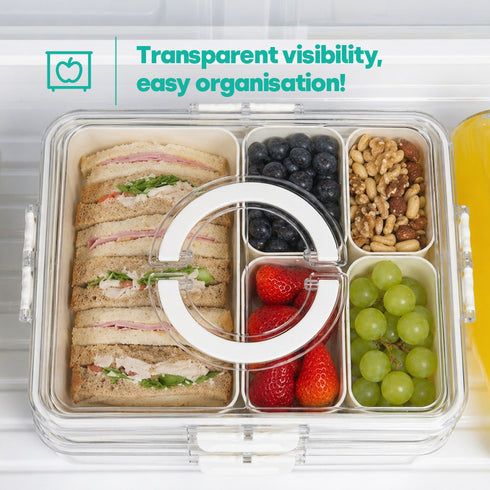 LIVIVO Snack Storage Box - 5 Removable Trays Snap Locks Silicon Seal