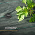 50 Weed Membrane Pegs with Tool