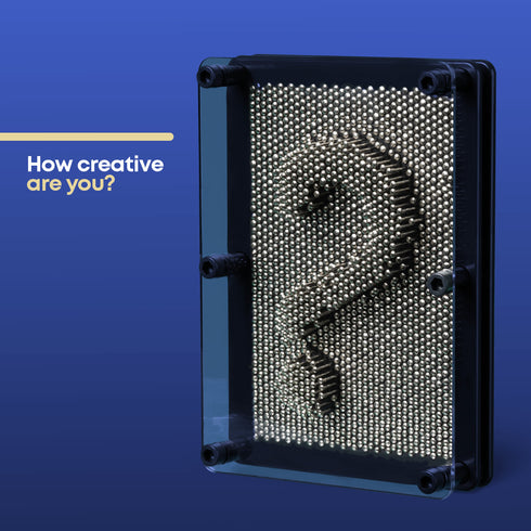 3D Pin Art Toy