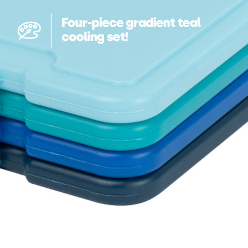 LIVIVO Freezer Block Set 4 Pack - 160g Reusable BPA-Free Ice Packs with Built-in Handles