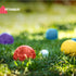 Boules Set - Multicolour