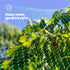 6pc Garden Netting - Green