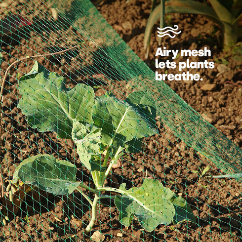 6pc Garden Netting - Green