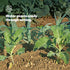 6pc Garden Netting - Green