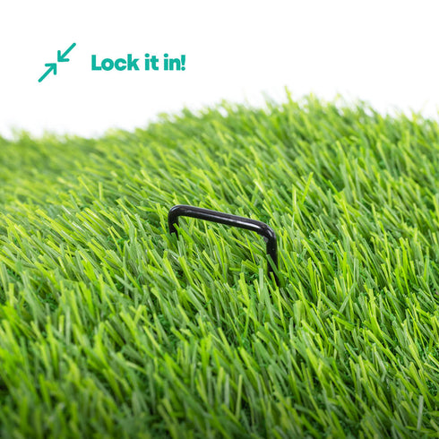 50 U-Shape Ground Pegs - Black