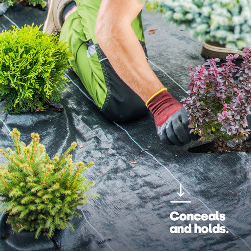 50 U-Shape Ground Pegs - Black