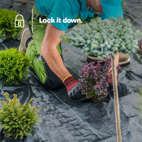 50 U-Shape Ground Pegs - Green