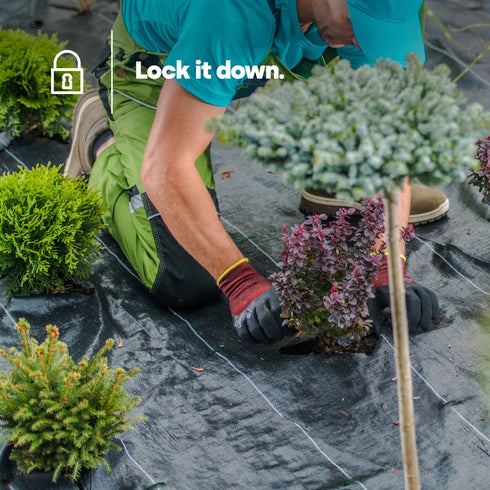 50 U-Shape Ground Pegs - Green