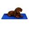 Petlicity Self Cooling Gel Mat for Dogs & Cats