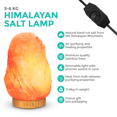 Himalayan Pink Rock Salt Lamp