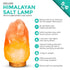Himalayan Pink Rock Salt Lamp