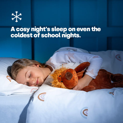 Cuddly Lion Hot Water Bottle