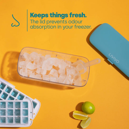 Ice Cube Tray with Dispenser and Storage