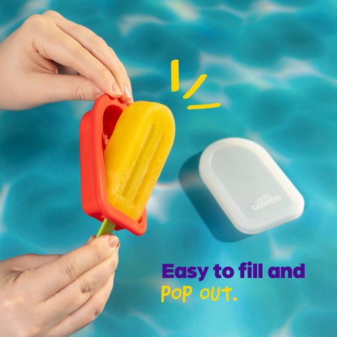 4 Ice Lolly Moulds with Sticks - Red/Purple