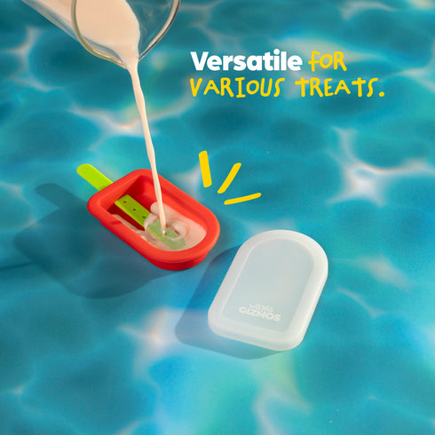 4 Ice Lolly Moulds with Sticks - Red/Purple