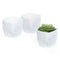 12cm Plant Pot White Sandstone - Set of 3