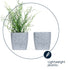 12cm Plant Pots Sandstone Grey - Set of 3